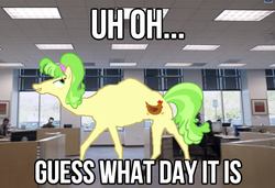 Size: 540x370 | Tagged: safe, edit, chickadee, ms. peachbottom, camel, g4, geico, hump day, image macro, meme, species swap