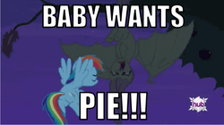 Size: 510x286 | Tagged: safe, fluttershy, rainbow dash, bat, rainbow dash presents, g4, a bug's life, flutterbat, hub logo, image macro