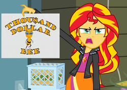 Size: 1016x720 | Tagged: safe, sunset shimmer, equestria girls, g4, exploitable meme, female, game show, meme, solo, sunset is disgusted, thousand dollar bee