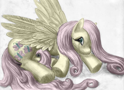 Size: 720x525 | Tagged: safe, artist:anthropony, fluttershy, g4, female, solo
