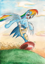 Size: 1627x2307 | Tagged: safe, artist:souleatersaku90, rainbow dash, g4, blushing, crossover, crossover shipping, fanfic, fanfic art, female, male, shipping, sonic the hedgehog, sonic the hedgehog (series), sonicdash, straight, the simple life, traditional art