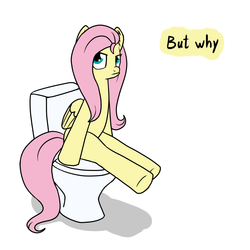 Size: 1000x1000 | Tagged: safe, artist:marindashy, fluttershy, g4, but why, female, sitting on toilet, solo, toilet