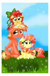 Size: 600x900 | Tagged: safe, artist:ilikepudding24, oc, oc only, offspring, parent:big macintosh, parent:fluttershy, parents:fluttermac, siblings