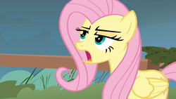 Size: 1053x592 | Tagged: safe, screencap, fluttershy, g4, putting your hoof down, female, solo