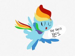 Size: 1024x768 | Tagged: safe, artist:supernoncutie, rainbow dash, g4, female, lesbian, solo