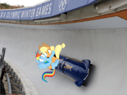Size: 525x393 | Tagged: safe, applejack, rainbow dash, g4, bobsled, irl, olympic games, olympic winter games, olympics, photo, ponies in real life, vancouver 2010, winter olympic games, winter olympics