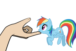 Size: 3000x2000 | Tagged: safe, artist:sprocket, artist:tex edits, rainbow dash, human, g4, :t, chin scratch, cute, dashabetes, flying, hand, micro, nose wrinkle, scratching, scrunchy face, smiling, spread wings