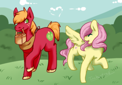 Size: 1059x747 | Tagged: safe, artist:iceheartcell, big macintosh, fluttershy, earth pony, pony, g4, male, ship:fluttermac, shipping, stallion, straight