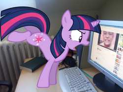 Size: 3648x2736 | Tagged: dead source, safe, artist:hundebleonidasx, artist:sulyo, twilight sparkle, pony, unicorn, g4, angry, book, child, computer mouse, desk, female, hater, irl, keyboard, mare, microsoft windows, monitor, photo, ponies in real life, solo, tower, unicorn twilight, vector, windows 7, youtube