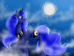 Size: 1024x768 | Tagged: safe, artist:spottymcmeow, princess luna, g4, female, moon, night, solo