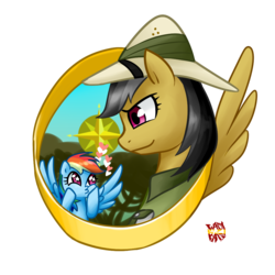 Size: 1000x1000 | Tagged: safe, artist:norang94, daring do, rainbow dash, pegasus, pony, g4, compass rose, female, heart, mare, palindrome get, simple background, so awesome, transparent background, wingding eyes