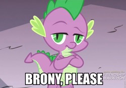 Size: 960x675 | Tagged: safe, screencap, spike, dragon, g4, my little pony: friendship is magic, simple ways, dialogue, fourth wall, image macro, male, solo