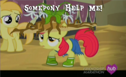 Size: 582x358 | Tagged: safe, screencap, apple bloom, noi, g4, simple ways, image macro