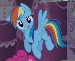 Size: 436x356 | Tagged: safe, screencap, pinkie pie, rainbow dash, earth pony, pegasus, pony, g4, season 4, simple ways, confused, cropped, cute, dashabetes, female, flying, mare, open mouth, rainbow dash is best facemaker