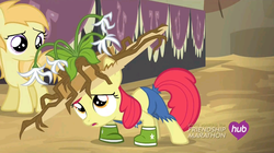 Size: 1440x808 | Tagged: safe, screencap, apple bloom, noi, earth pony, pony, g4, simple ways, adorabloom, boots, clothes, cute, female, filly, looking up, open mouth, shoes, solo