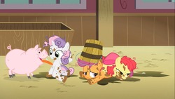 Size: 1366x768 | Tagged: safe, screencap, apple bloom, scootaloo, sweetie belle, pig, pony, g4, the show stoppers, cutie mark crusaders