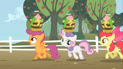 Size: 1366x768 | Tagged: safe, screencap, apple bloom, scootaloo, sweetie belle, g4, the show stoppers, apple tree, bucket, cutie mark crusaders, head carry, looking at you, tree, trio