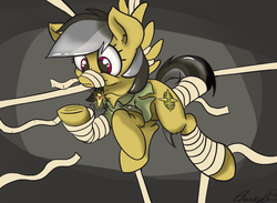 Size: 1771x1299 | Tagged: safe, artist:mistydash, daring do, pegasus, pony, g4, bandage, bondage, female, gag, mare, mummification, muzzle gag, solo, tail wrap