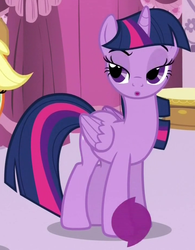 Size: 719x921 | Tagged: safe, screencap, twilight sparkle, alicorn, pony, g4, simple ways, female, lidded eyes, mare, solo, twilight sparkle (alicorn)