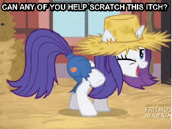 Size: 461x346 | Tagged: safe, screencap, rarity, g4, simple ways, animated, bronybait, ear scratch, female, horses doing horse things, image macro, itchy, rarihick, solo, tail, tail hole
