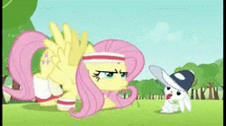 Size: 500x281 | Tagged: safe, screencap, angel bunny, fluttershy, g4, hurricane fluttershy, animated, coach, coach angel bunny, cropped, duo, hat, headband, sweatband, trainer, training, whistle