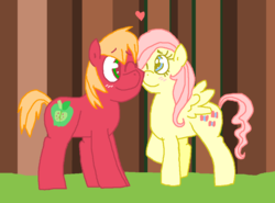 Size: 971x717 | Tagged: safe, artist:killersmiler, big macintosh, fluttershy, earth pony, pony, g4, male, ship:fluttermac, shipping, stallion, straight, teenager, younger