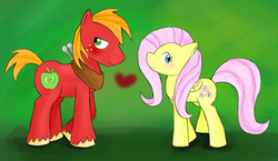 Size: 1170x677 | Tagged: safe, artist:pms-ka, big macintosh, fluttershy, earth pony, pony, g4, male, ship:fluttermac, shipping, stallion, straight