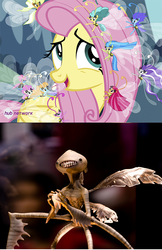 Size: 428x661 | Tagged: safe, fluttershy, seabreeze, breezie, g4, it ain't easy being breezies, female, hellboy, male, meme, toothfairy