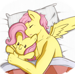 Size: 1580x1558 | Tagged: safe, artist:nolycs, fluttershy, anthro, g4, bed, butterscotch, clothes, female, fluttershy plushie, male, plushie, rule 63, self ponidox, selfcest, ship:flutterscotch, shipping, sleeping, solo, straight, topless