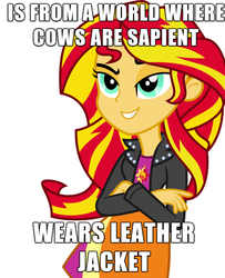 Size: 600x740 | Tagged: safe, sunset shimmer, equestria girls, g4, my little pony equestria girls, female, image macro, leather, meme, solo