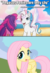 Size: 647x952 | Tagged: safe, fluttershy, skywishes, star catcher, friends are never far away, g3, g4, hilarious in hindsight, image macro, meme