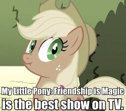 Size: 680x602 | Tagged: safe, edit, edited screencap, screencap, applejack, g4, my little pony: friendship is magic, the return of harmony, caption, dialogue, female, liar face, liarjack, meme, opinion, scrunchy face, solo