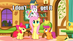 Size: 930x522 | Tagged: safe, apple bloom, fluttershy, scootaloo, sweetie belle, g4, cutie mark crusaders, image macro, meme