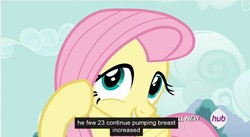 Size: 855x469 | Tagged: safe, screencap, fluttershy, g4, it ain't easy being breezies, female, hub logo, meme, solo, youtube caption