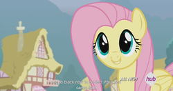 Size: 1152x609 | Tagged: safe, screencap, fluttershy, g4, it ain't easy being breezies, hub logo, meme, youtube caption