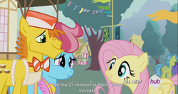 Size: 1153x609 | Tagged: safe, screencap, amethyst star, carrot cake, cup cake, flounder (g4), fluttershy, sparkler, g4, it ain't easy being breezies, hub logo, meme, youtube caption