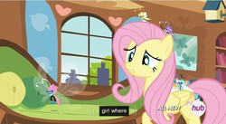 Size: 850x466 | Tagged: safe, screencap, fluttershy, ghostberry, seabreeze, breezie, g4, it ain't easy being breezies, hub logo, meme, unnamed breezie, unnamed character, youtube caption