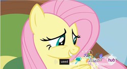 Size: 851x466 | Tagged: safe, screencap, cotton (g4), fluttershy, ghostberry, breezie, g4, it ain't easy being breezies, hub logo, meme, unnamed breezie, unnamed character, youtube caption