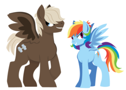 Size: 925x664 | Tagged: safe, artist:dbkit, dumbbell, rainbow dash, pegasus, pony, g4, dumbdash, duo, female, male, shipping, simple background, straight, transparent background