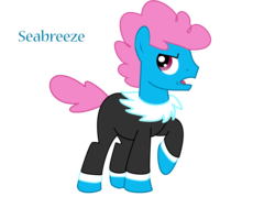 Size: 2520x1800 | Tagged: safe, artist:whitemistine, seabreeze, earth pony, g4, male, ponified, simple background, solo, transparent background, vector, wingless