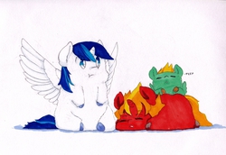 Size: 2997x2064 | Tagged: safe, artist:yanbonfluff, alicorn, fluffy pony, pony, high res, siblings, sleeping