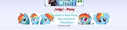 Size: 992x238 | Tagged: safe, rainbow dash, g4, /mlp/, 4chan, 4chan screencap, banner, best pony, ponychan