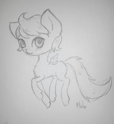 Size: 1824x1981 | Tagged: safe, artist:pluto manson, oc, oc only, pegasus, pony, big eyes, chibi, doodle, monochrome, solo, traditional art