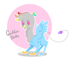 Size: 995x808 | Tagged: safe, artist:jellybeanbullet, rainbow dash, griffon, g4, female, fusion, griffonized, rainbow griffon, simple background, solo, species swap, white background