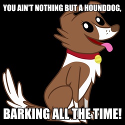 Size: 600x600 | Tagged: safe, winona, dog, g4, elvis presley, female, hound dog, image macro, meme, solo, song reference