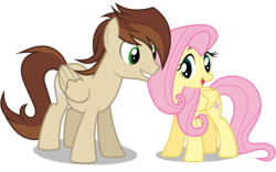 Size: 5600x3500 | Tagged: safe, artist:junkiesnewb, fluttershy, oc, pegasus, pony, g4, absurd resolution, canon x oc, happy, male, open mouth, shipping, simple background, stallion, standing, straight, transparent background, vector