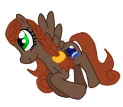 Size: 500x437 | Tagged: safe, artist:mlploverandsoniclover, oc, oc only, oc:night book, pegasus, pony, solo