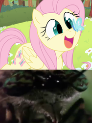 Size: 605x805 | Tagged: safe, artist:thelivingmachine02, edit, fluttershy, butterfly, pegasus, pony, g4, female, live action, mare, parody, pov, spongebob squarepants, wormy