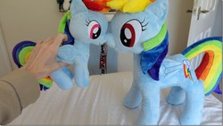 Size: 1113x628 | Tagged: safe, artist:pinkamoone, rainbow dash, g4, irl, photo, plushie