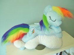 Size: 1024x762 | Tagged: safe, artist:pinkamoone, rainbow dash, g4, irl, photo, plushie